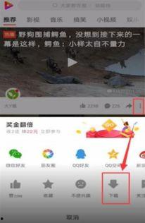 好看视频搜索,好看视频搜索精选内容盘点