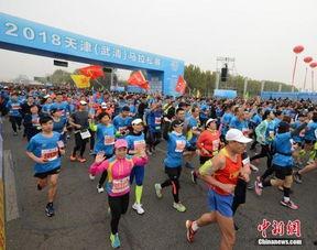 武清马拉松视频,速度与激情的赛道对决