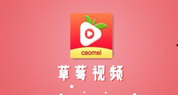 草莓视频下载安装安卓,草莓视频安卓下载与安装指南