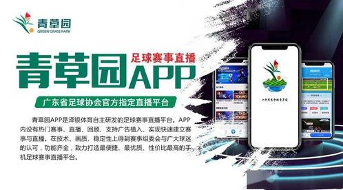 青草园在线视频,探索自然之美，感受生命活力