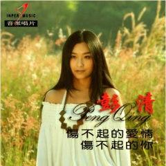 歌曲伤不起视频,旋律中的情感共鸣与人生感悟